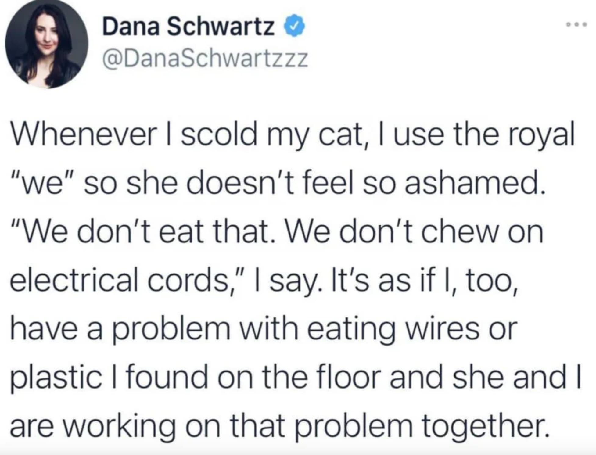 screenshot - Dana Schwartz Whenever I scold my cat, I use the royal "we" so she doesn't feel so ashamed. "We don't eat that. We don't chew on electrical cords," I say. It's as if I, too, have a problem with eating wires or plastic I found on the floor and